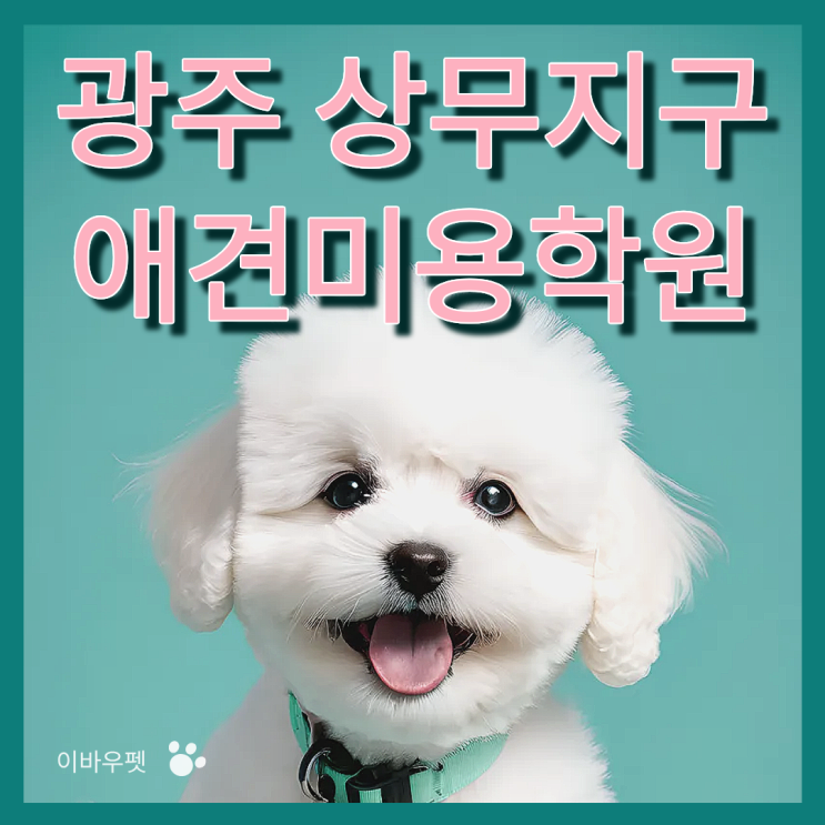  광주 풍암지구 애견미용학원, 진짜 실습 환경은 이 정도였다고?