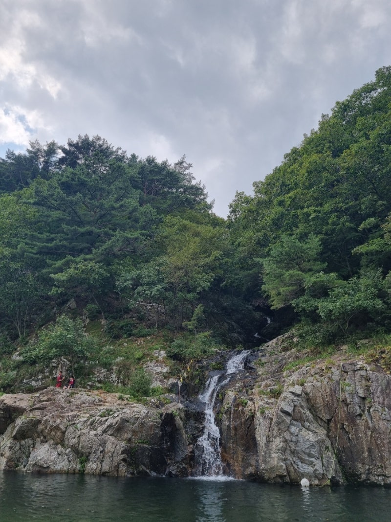 사진 2