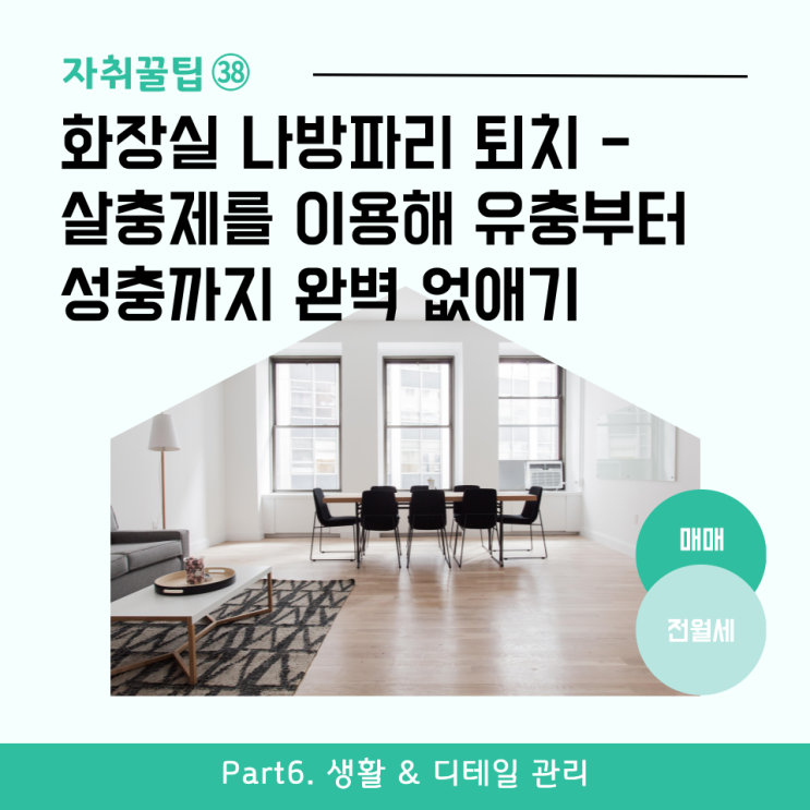  [자취꿀팁㊳] 화장실 나방파리 퇴치 - 살충제를 이용해 유충부터 성충까지 완벽 없애기