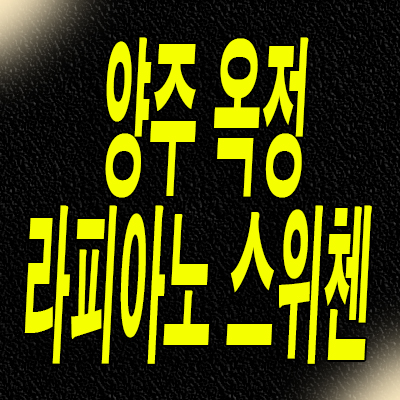  양주 옥정동 스위첸 타운하우스 라피아노 양주옥정 분양가 모델하우스