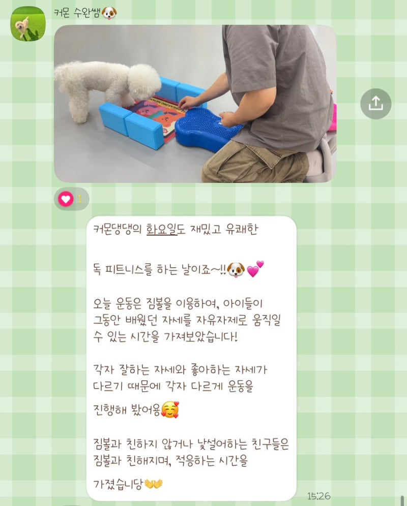 커몬댕댕 광주애견유치원&애견호텔
