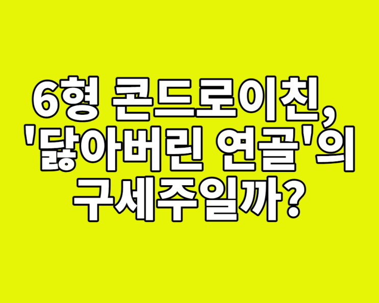  6형 콘드로이친, '닳아버린 연골'의 구세주일까? (효능, 고르는 법 총정리)