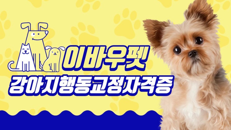  강아지행동교정자격증, 결국  이바우펫을 선택해야 하는 이유