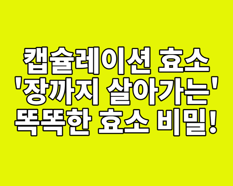  캡슐레이션 효소, '장까지 살아가는' 똑똑한 효소의 비밀! (효소 고르는 꿀팁)
