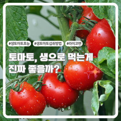  생토마토, 이렇게 섭취하면 더 좋아요!