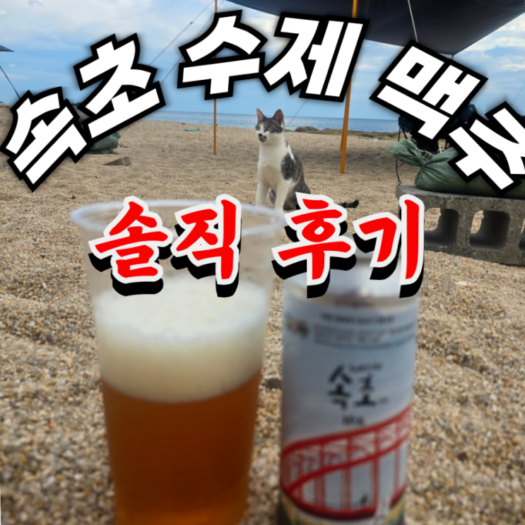  속초 수제맥주 양조장 2곳 크래프트루트 vs 몽트비어 비교 후기