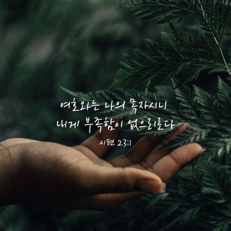  시편 34편 10절 / 하나님을 신뢰하는 삶