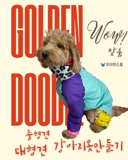 사진 9