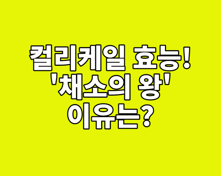  컬리케일 효능, '채소의 왕'이라 불리는 이유! (주스, 샐러드 꿀팁)