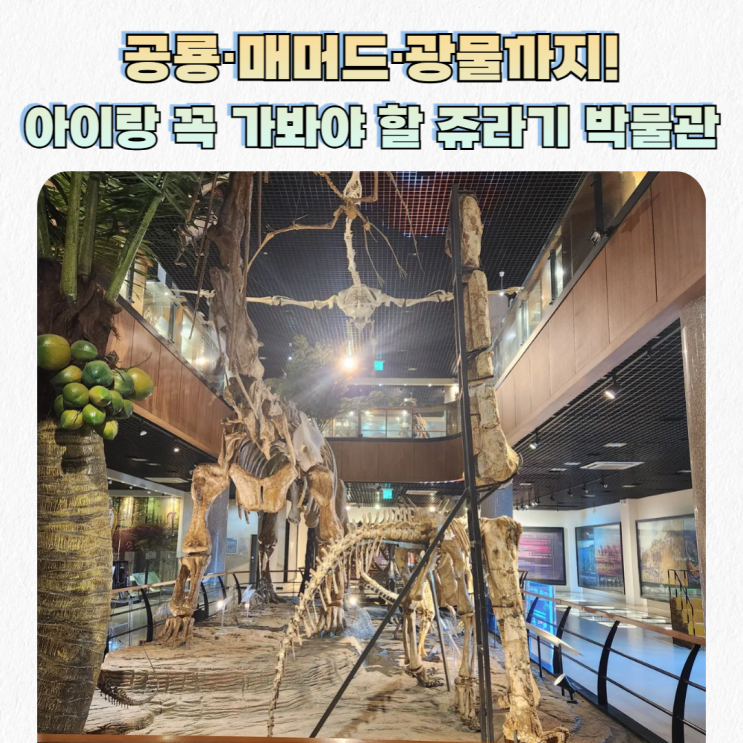  안면도 쥬라기박물관_공룡 덕후의 천국 & 매머드·광물 전시까지 자연사 박물관