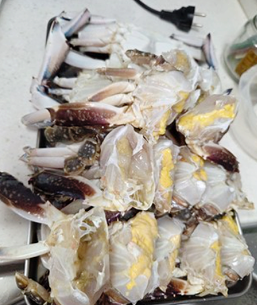  꽃게의 계절이 돌아왔다 제철 꽃게 로켓프레시 후기