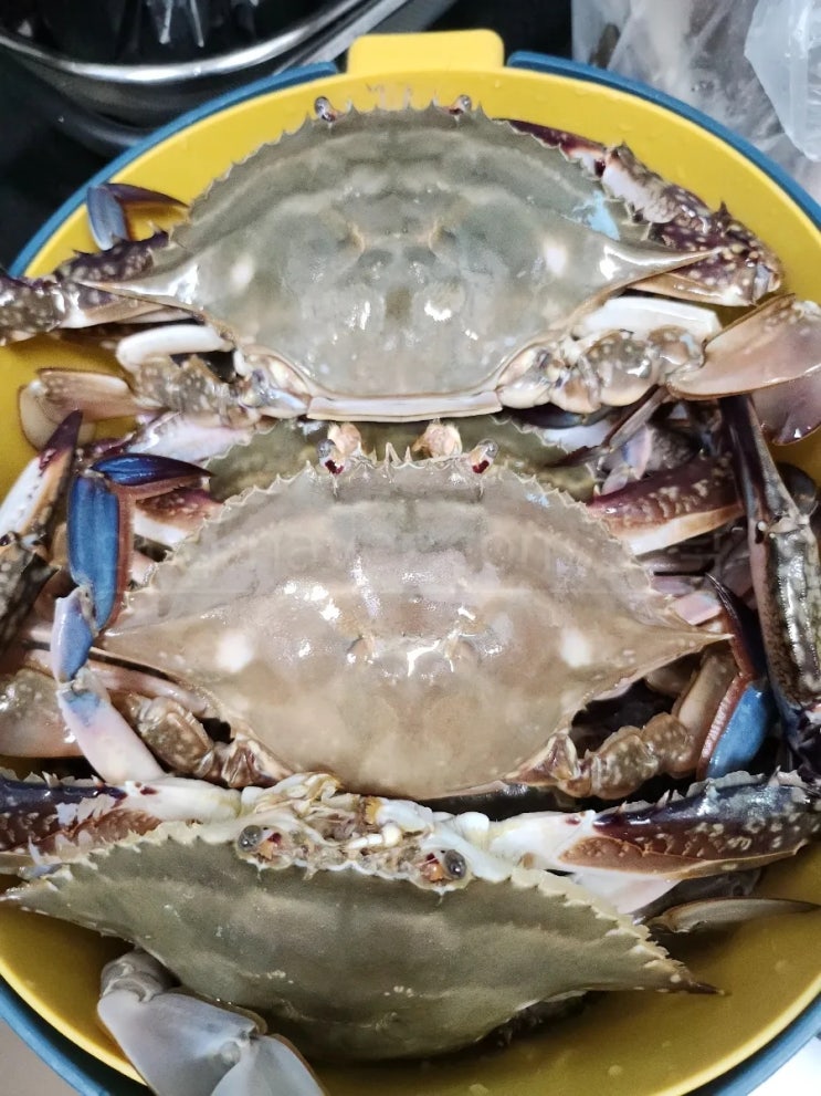  살이 많고 단단한 가을 꽃게찜