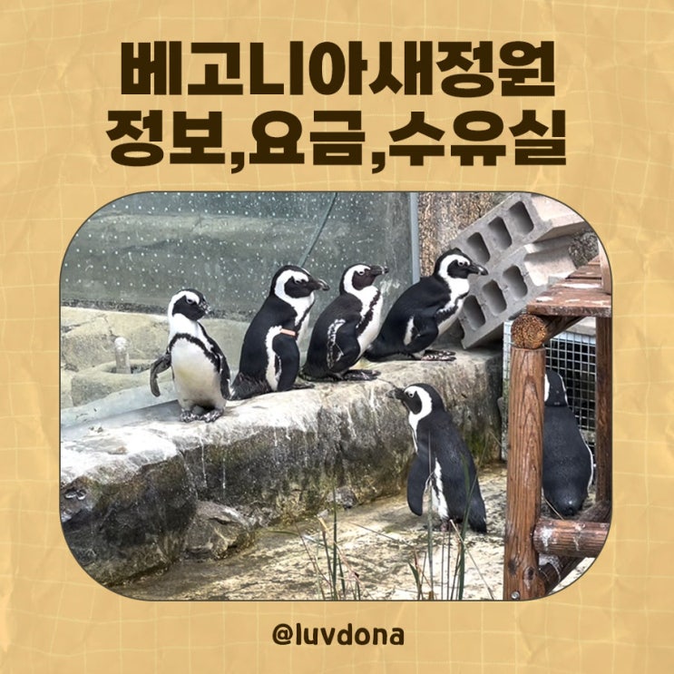  경기도 아기랑 실내 갈만한곳 베고니아새정원 (+수유실)