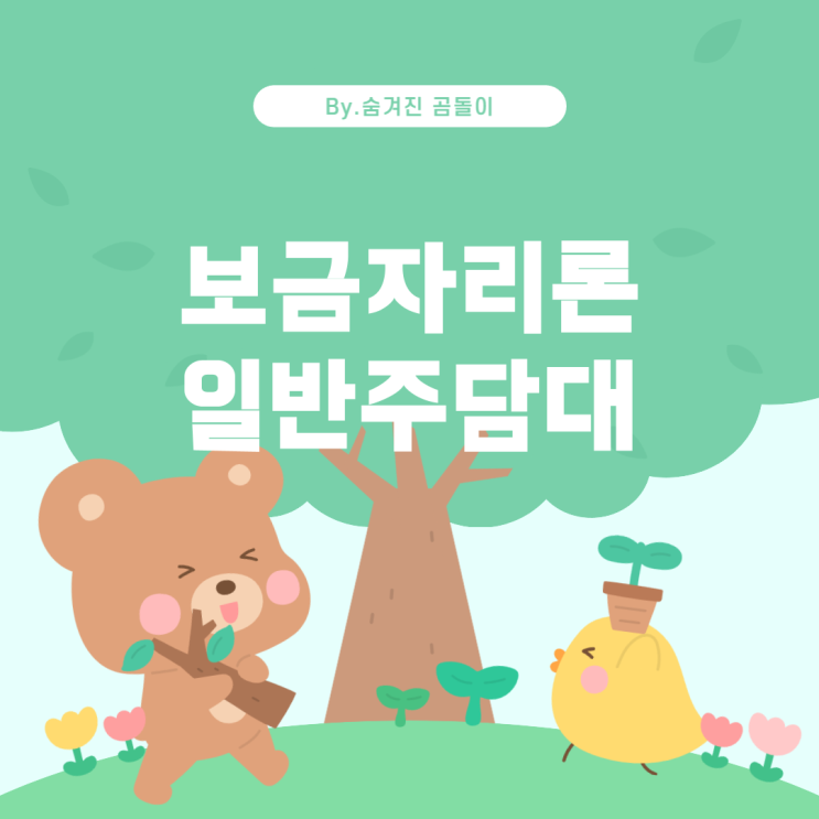  보 대출 시 보금자리론과 일반 주담대 이용 방법 주택담