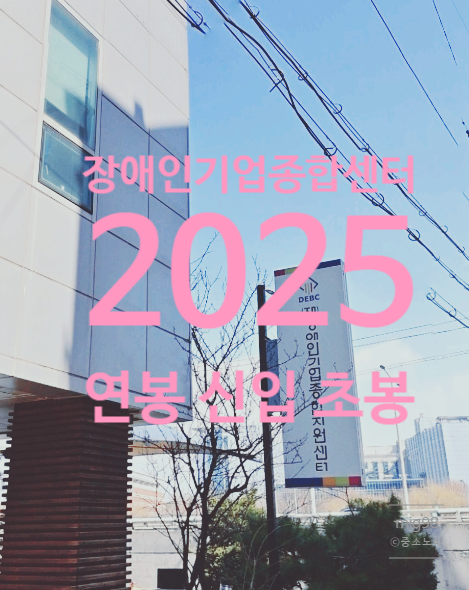 장애인기업종합지원센터 연봉 2025 신입 초봉 정규직 무기계약직 총정리