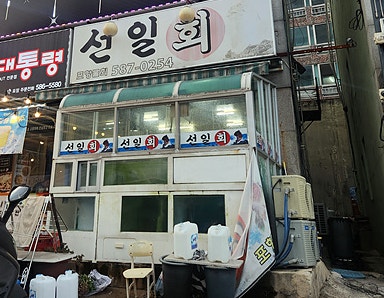 선일회 사진 1