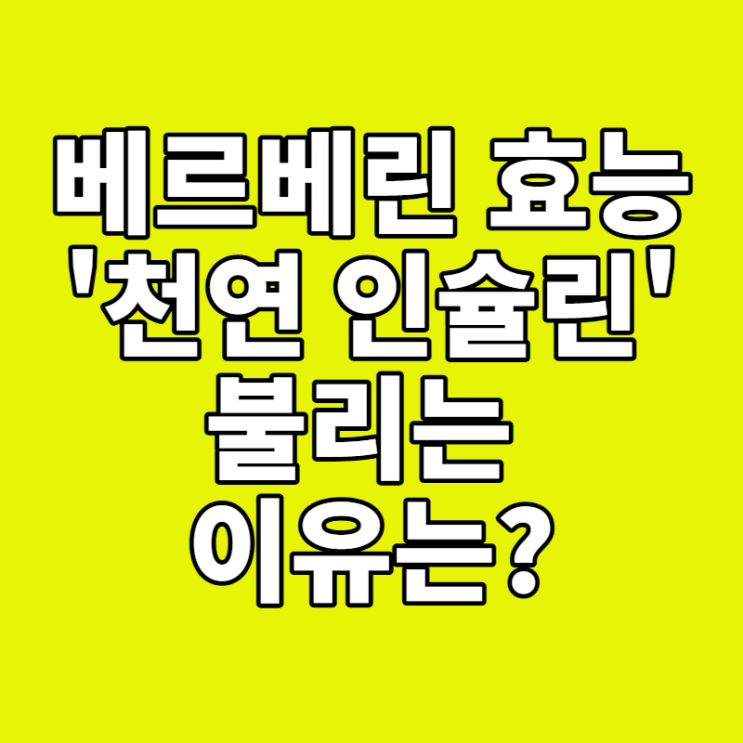  베르베린 효능, '천연 인슐린'이라 불리는 이유? (혈당, 다이어트, 복용법 총정리)