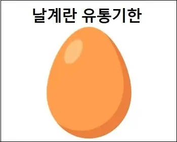  날계란 유통기한 참고하세요