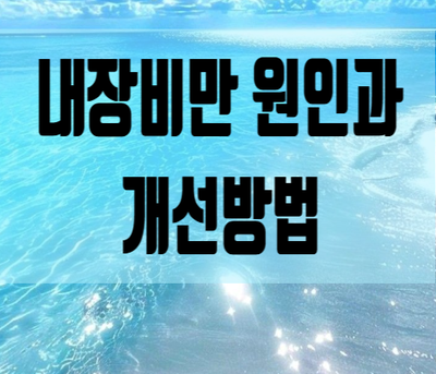  내장비만 원인과 개선방법