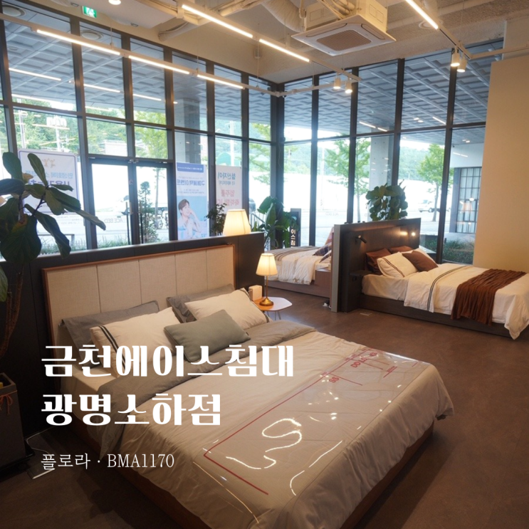  금천에이스침대 광명소하점, 플로라·BMA1170 보고왔어요