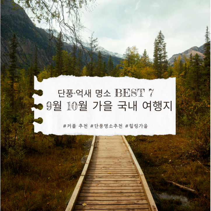 가을 국내 여행지 9월 10월 단풍·억새 명소 BEST 7 (커플 추천)