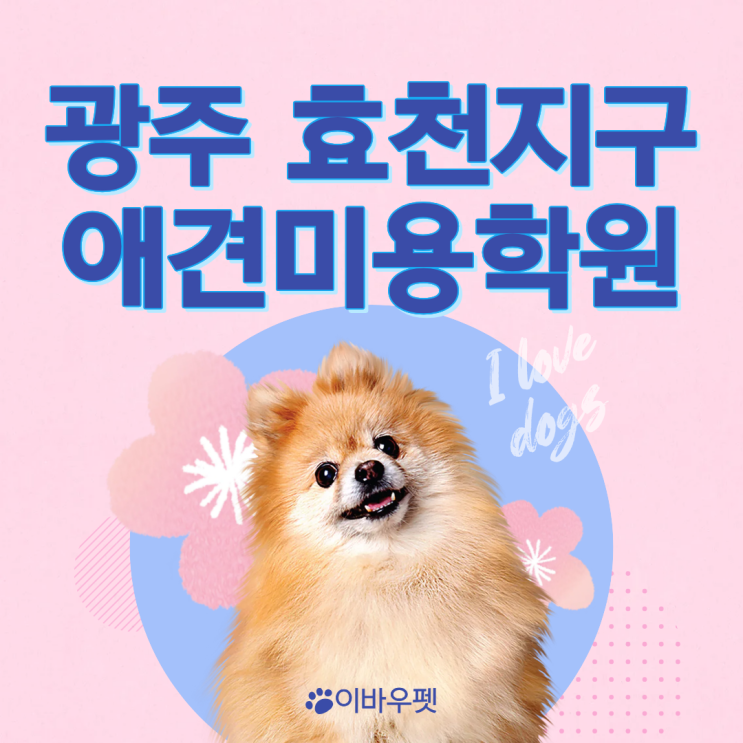   광주 효천지구 애견미용학원, 몰랐으면 후회할 선택!