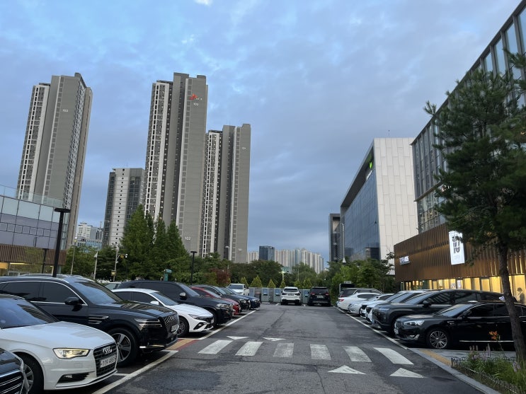  새끼발가락 휨, 소건막류교정기 2종 비교사용 후기