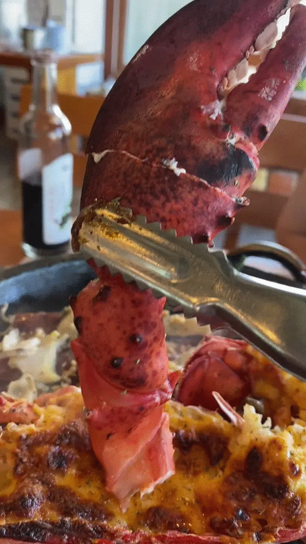  강화도 맛집 등나무 가든! 주부 9단 어머니도 극찬한 화덕 랍스터 전복 장어 구이