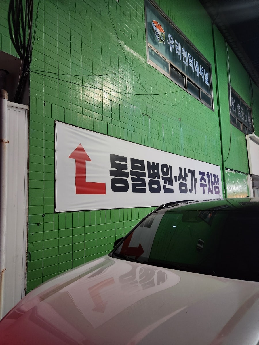 도미노피자 경산사동점 사진 2