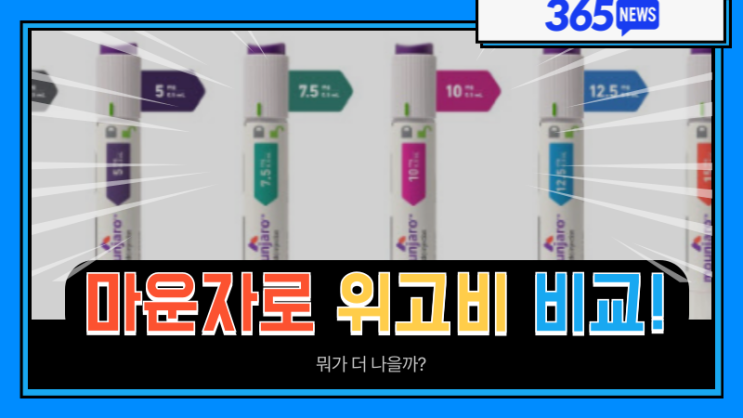  마운자로 위고비 차이는 뭘까? 비만약 비교분석 리뷰