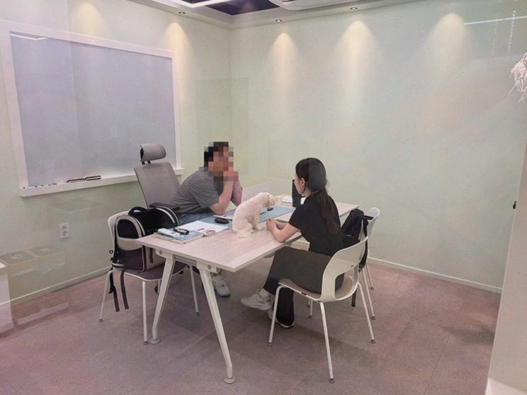  [OTP영어학원] 강남에서 배우는 강남영어회화의 모든 것