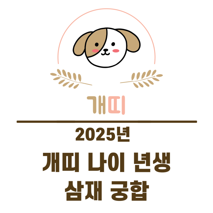  2025년 개띠 나이 년생 삼재 궁합 정리