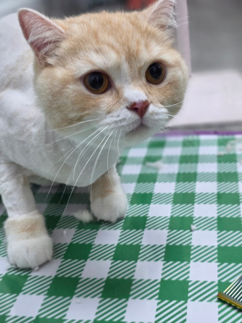 사진 5