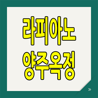  양주 타운하우스 라피아노 스위첸 양주옥정 옥정신도시 kcc건설 분양가