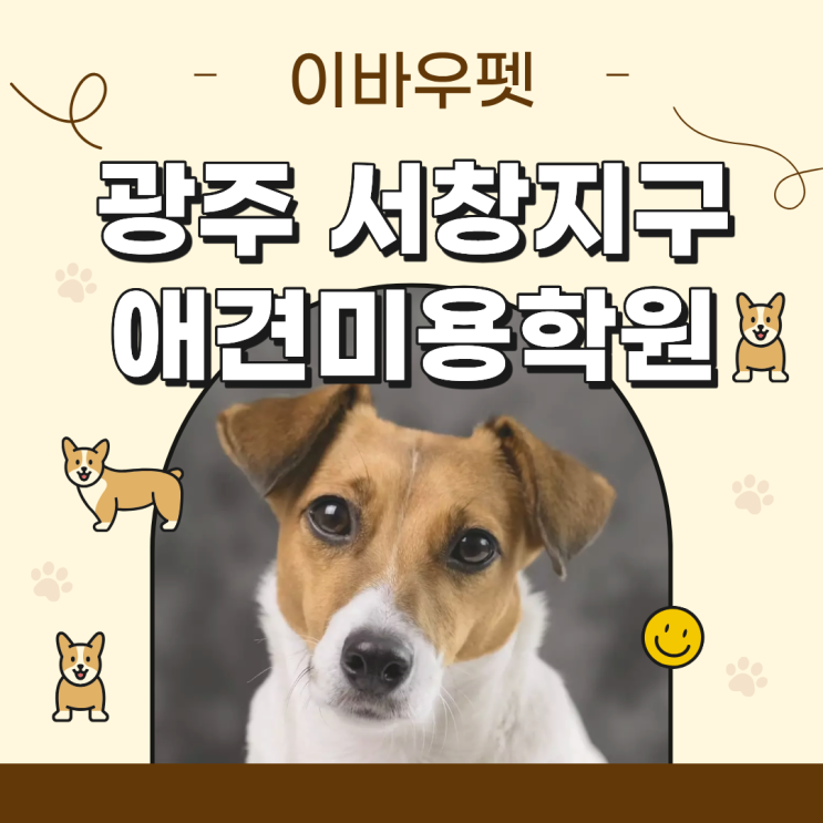  광주 서창지구 애견미용학원, 이걸 모르면 절대 후회합니다!