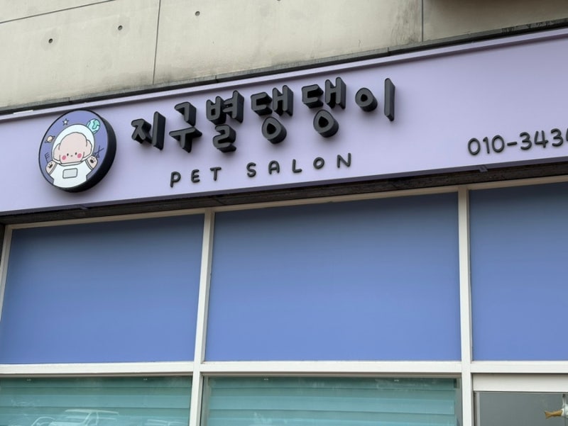 사진 3