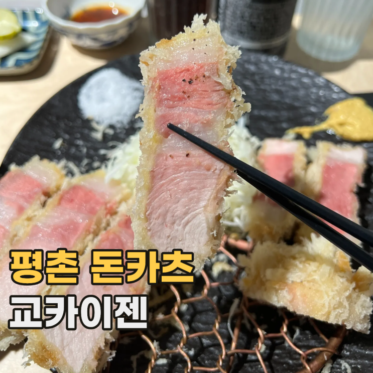  평촌 교카이젠 또 가고 싶은 안양 탑티어 돈카츠 맛집
