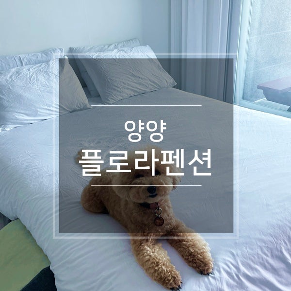 사진 2