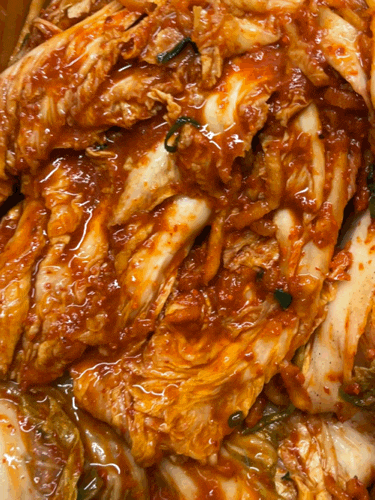 홍진경 더김치 포기김치 & 총각김치 솔직 후기