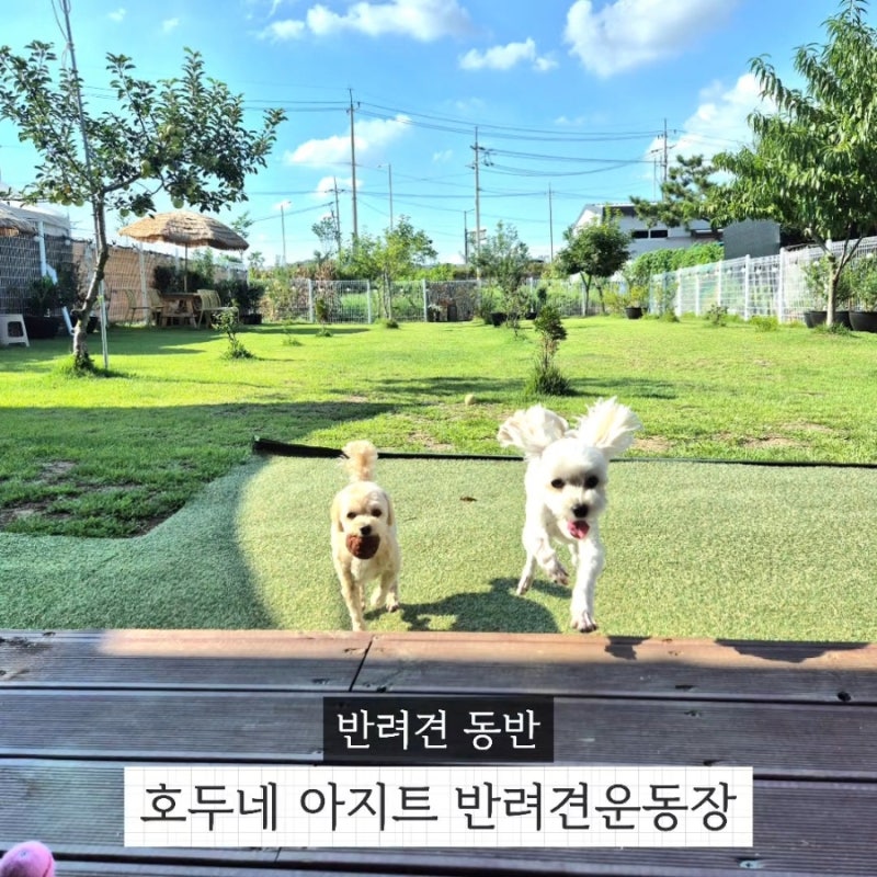 사진 6