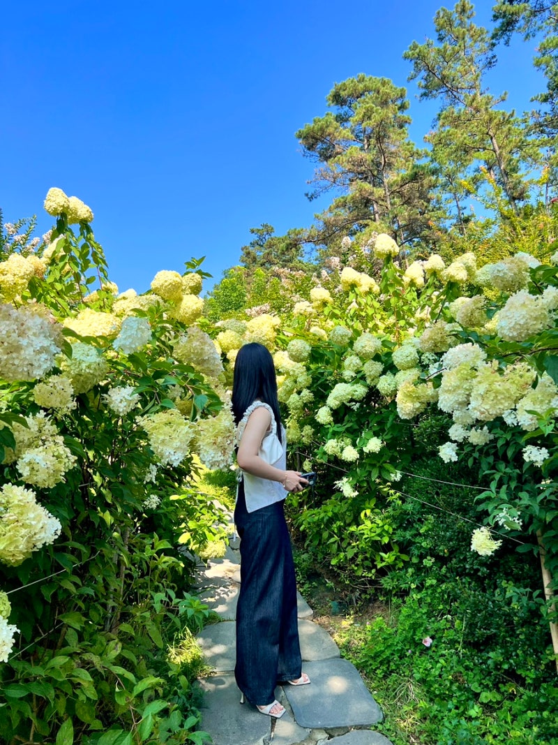 사진 5
