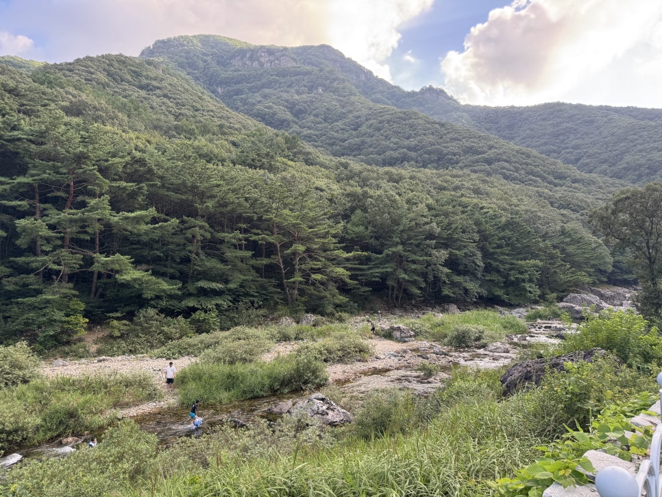 명천식당 사진 5