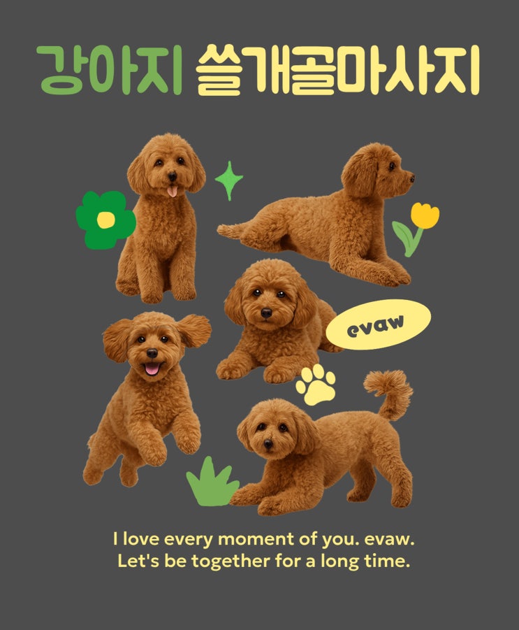  강아지쓸개골마사지 방법과 슬개골에 좋은 간식 레시피 