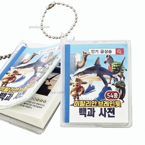 이탈리안 브레인롯 54종 백과사전 키링 랜덤 후기: 초등학생 자녀를 둔 엄마의 솔직 리뷰!