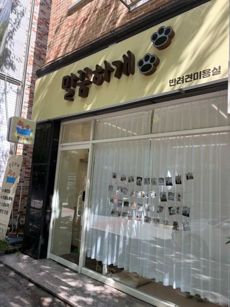 사진 3