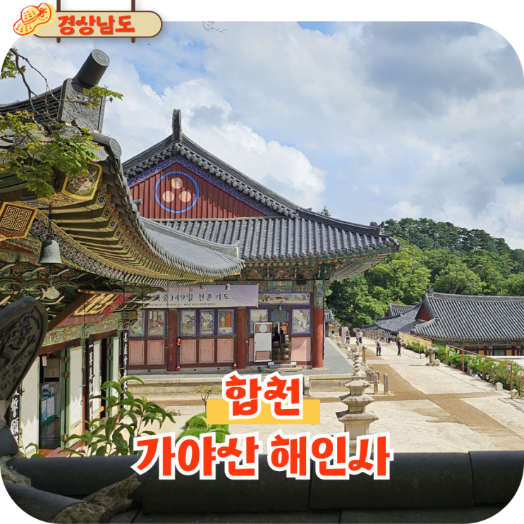  경남 합천 해인사 팔만대장경 관람 가야산 속 사찰 여행