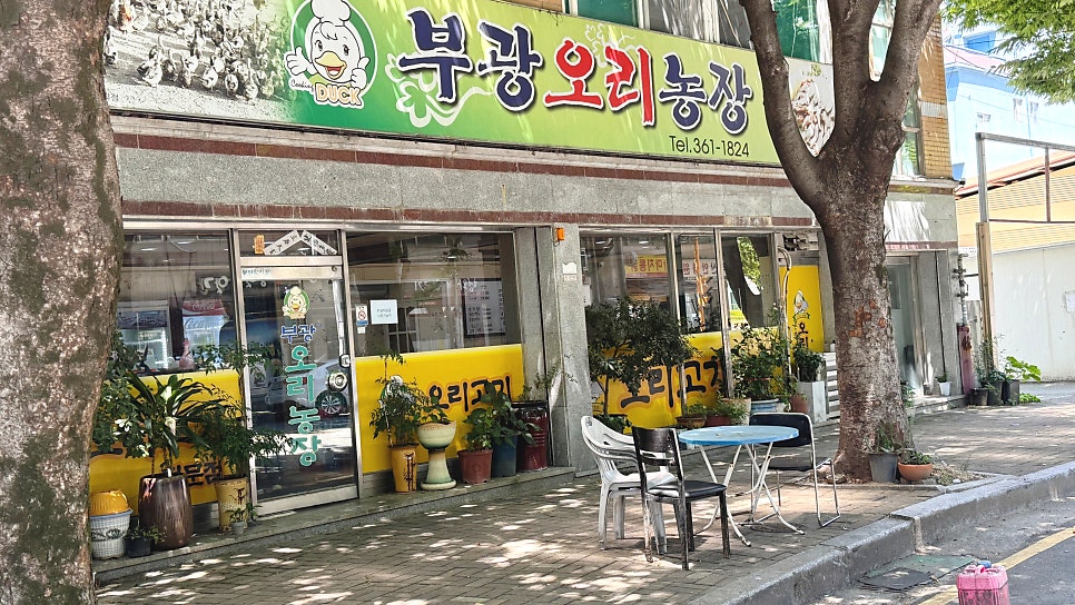 부광오리농장 사진 1