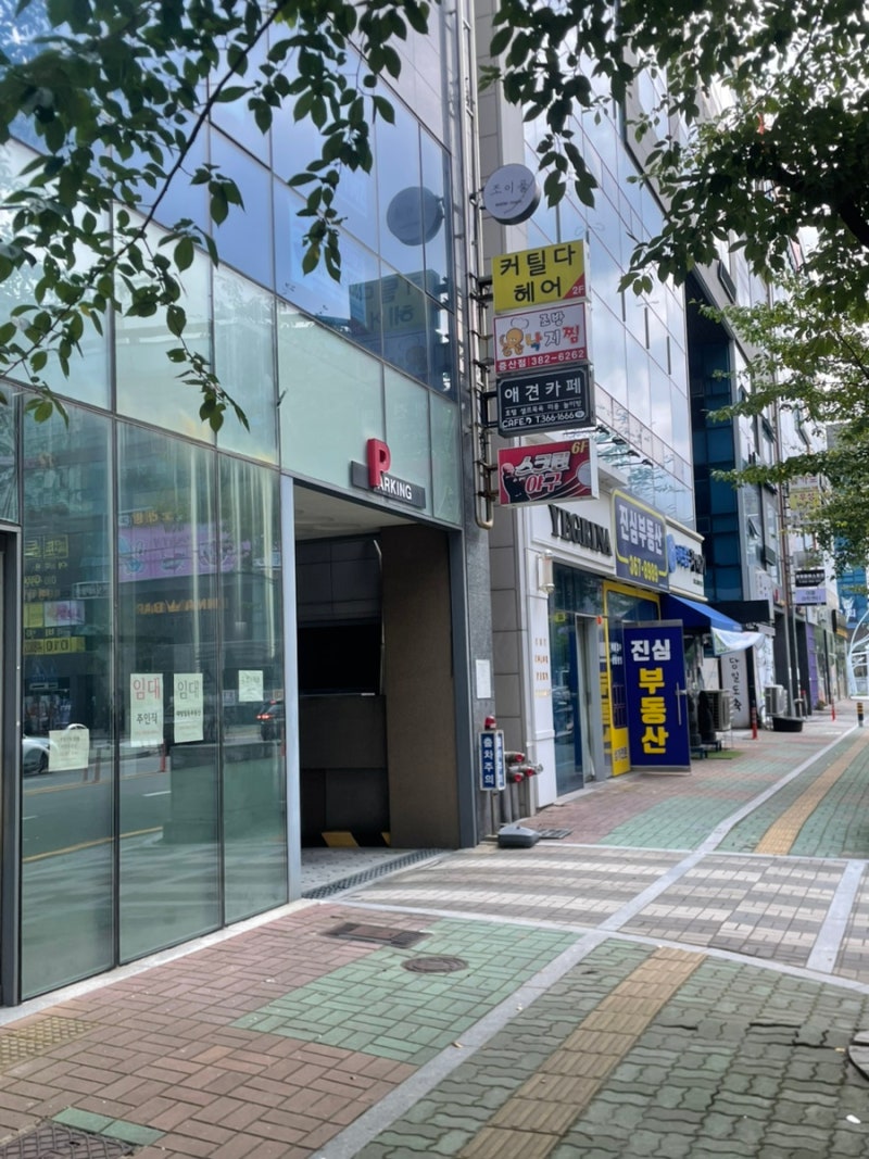 사진 2