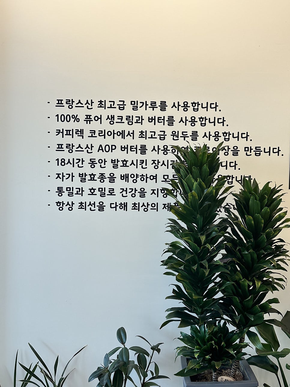 좋은아침베이커리카페 사진 2