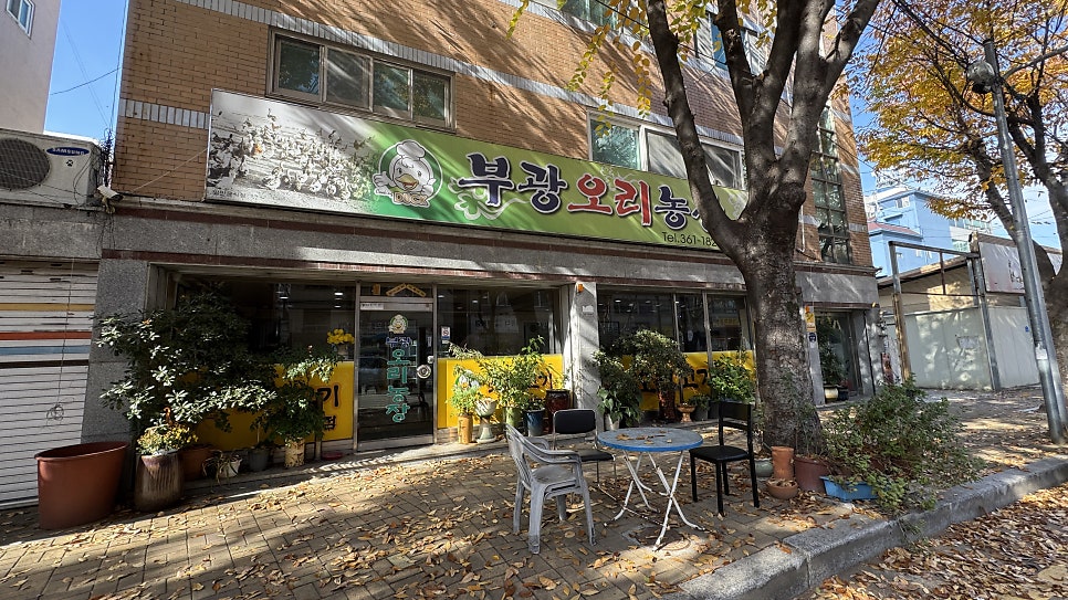 부광오리농장 사진 2